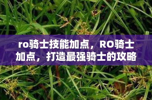 ro骑士技能加点,RO骑士加点,打造最强骑士的攻略 ro骑士技能加点,RO骑士加点,打造最强骑士的攻略