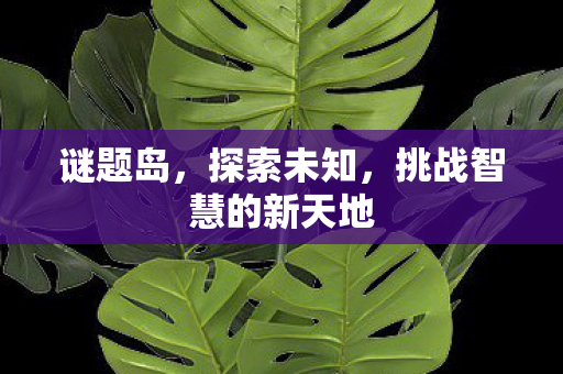 谜题岛,探索未知,挑战智慧的新天地 谜题岛,探索未知,挑战智慧的新天地