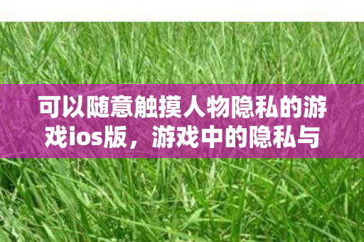 可以随意触摸人物隐私的游戏ios版，游戏中的隐私与道德边界，探索IOS平台上的隐私交互游戏