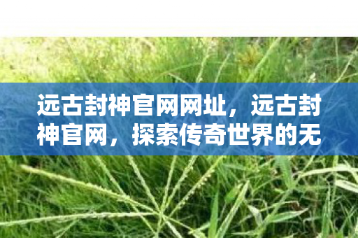 远古封神官网网址，远古封神官网，探索传奇世界的无尽奥秘
