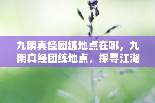 九阴真经团练地点在哪,九阴真经团练地点,探寻江湖中的修炼圣地 九阴真经团练地点在哪,九阴真经团练地点,探寻江湖中的修炼圣地