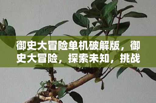 御史大冒险单机破解版,御史大冒险,探索未知,挑战极限 御史大冒险单机破解版,御史大冒险,探索未知,挑战极限