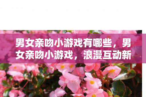 男女亲吻小游戏有哪些，男女亲吻小游戏，浪漫互动新体验