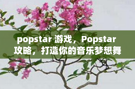 popstar 游戏,Popstar 攻略,打造你的音乐梦想舞台 popstar 游戏,Popstar 攻略,打造你的音乐梦想舞台
