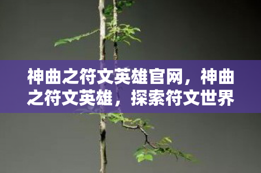 神曲之符文英雄官网，神曲之符文英雄，探索符文世界的奇幻之旅