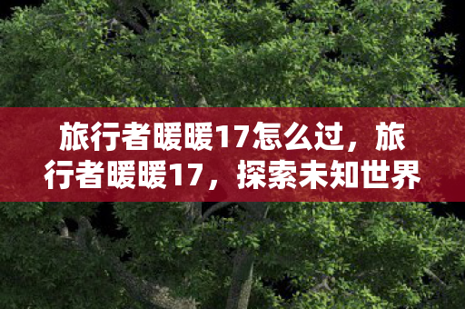 旅行者暖暖17怎么过，旅行者暖暖17，探索未知世界的温暖之旅