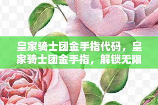 皇家骑士团金手指代码,皇家骑士团金手指,解锁无限可能的冒险之旅 皇家骑士团金手指代码,皇家骑士团金手指,解锁无限可能的冒险之旅