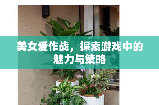美女爱作战,探索游戏中的魅力与策略 美女爱作战,探索游戏中的魅力与策略