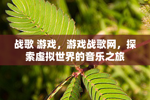 战歌 游戏，游戏战歌网，探索虚拟世界的音乐之旅