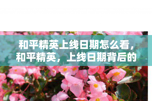 和平精英上线日期怎么看,和平精英,上线日期背后的故事与游戏发展 和平精英上线日期怎么看,和平精英,上线日期背后的故事与游戏发展