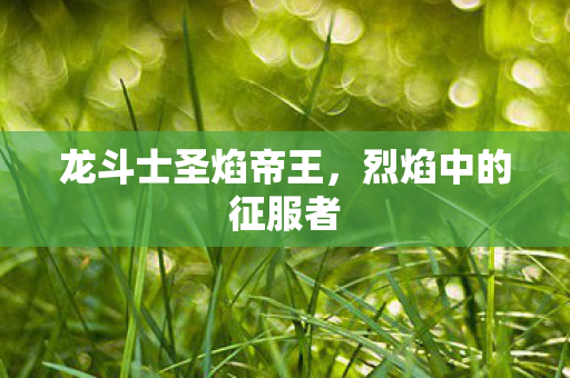 龙斗士圣焰帝王，烈焰中的征服者