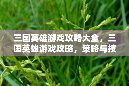 三国英雄游戏攻略大全，三国英雄游戏攻略，策略与技巧的深度剖析