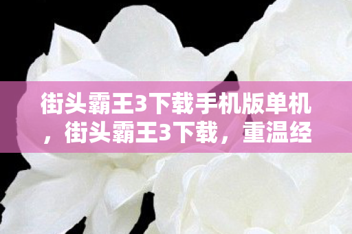 街头霸王3下载手机版单机,街头霸王3下载,重温经典格斗游戏的魅力 街头霸王3下载手机版单机,街头霸王3下载,重温经典格斗游戏的魅力