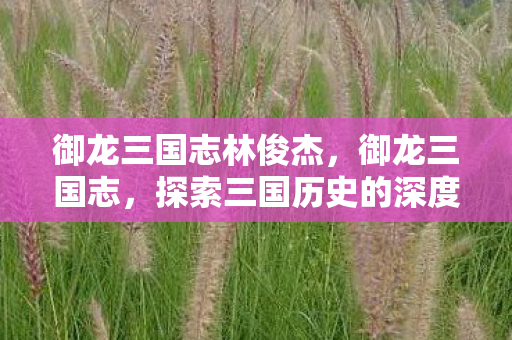 御龙三国志林俊杰,御龙三国志,探索三国历史的深度与广度 御龙三国志林俊杰,御龙三国志,探索三国历史的深度与广度