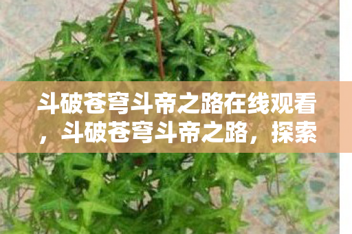斗破苍穹斗帝之路在线观看,斗破苍穹斗帝之路,探索无尽世界的强者之旅 斗破苍穹斗帝之路在线观看,斗破苍穹斗帝之路,探索无尽世界的强者之旅