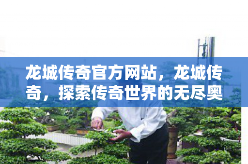 龙城传奇官方网站,龙城传奇,探索传奇世界的无尽奥秘 龙城传奇官方网站,龙城传奇,探索传奇世界的无尽奥秘