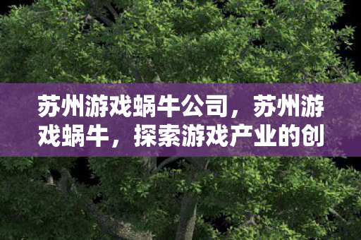 苏州游戏蜗牛公司，苏州游戏蜗牛，探索游戏产业的创新之路