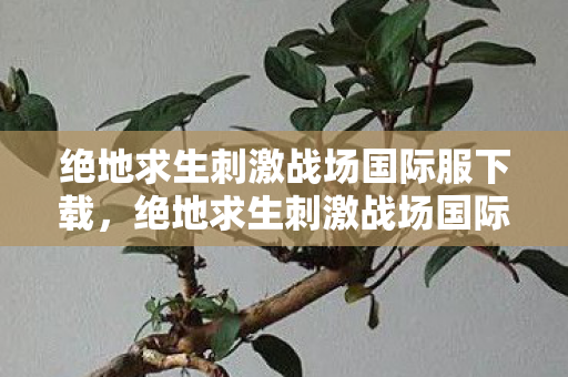 绝地求生刺激战场国际服下载，绝地求生刺激战场国际服，全球玩家的竞技盛宴