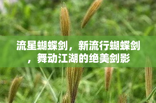 流星蝴蝶剑,新流行蝴蝶剑,舞动江湖的绝美剑影 流星蝴蝶剑,新流行蝴蝶剑,舞动江湖的绝美剑影