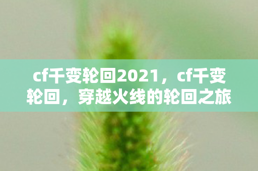 cf千变轮回2021，cf千变轮回，穿越火线的轮回之旅