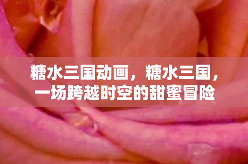 糖水三国动画，糖水三国，一场跨越时空的甜蜜冒险