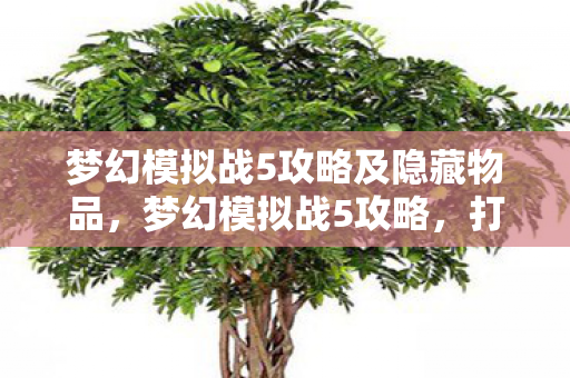 梦幻模拟战5攻略及隐藏物品,梦幻模拟战5攻略,打造最强军团,征服无尽战场 梦幻模拟战5攻略及隐藏物品,梦幻模拟战5攻略,打造最强军团,征服无尽战场