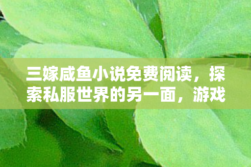 三嫁咸鱼小说免费阅读,探索私服世界的另一面,游戏玩家的自由与限制 三嫁咸鱼小说免费阅读,探索私服世界的另一面,游戏玩家的自由与限制