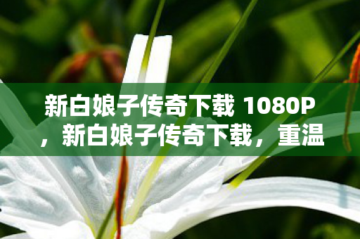 新白娘子传奇下载 1080P,新白娘子传奇下载,重温经典,感受不朽传奇 新白娘子传奇下载 1080P,新白娘子传奇下载,重温经典,感受不朽传奇