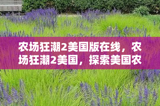 农场狂潮2美国版在线,农场狂潮2美国,探索美国农业现代化的新篇章 农场狂潮2美国版在线,农场狂潮2美国,探索美国农业现代化的新篇章
