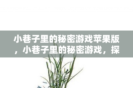 小巷子里的秘密游戏苹果版,小巷子里的秘密游戏,探索未知的乐趣与风险 小巷子里的秘密游戏苹果版,小巷子里的秘密游戏,探索未知的乐趣与风险