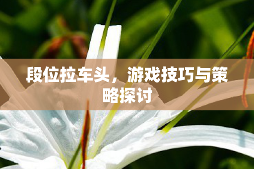 段位拉车头，游戏技巧与策略探讨