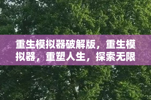 重生模拟器破解版，重生模拟器，重塑人生，探索无限可能