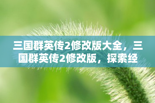 三国群英传2修改版大全，三国群英传2修改版，探索经典游戏的全新可能