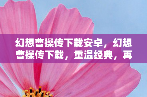 幻想曹操传下载安卓,幻想曹操传下载,重温经典,再续传奇 幻想曹操传下载安卓,幻想曹操传下载,重温经典,再续传奇