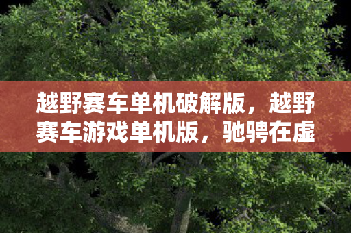 越野赛车单机破解版，越野赛车游戏单机版，驰骋在虚拟世界的极限挑战