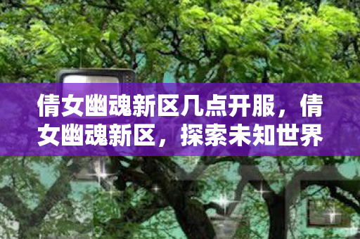 倩女幽魂新区几点开服，倩女幽魂新区，探索未知世界的奇妙之旅