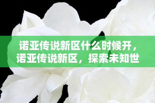 诺亚传说新区什么时候开,诺亚传说新区,探索未知世界的奇妙之旅 诺亚传说新区什么时候开,诺亚传说新区,探索未知世界的奇妙之旅