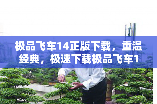 极品飞车14正版下载,重温经典,极速下载极品飞车14中文版 极品飞车14正版下载,重温经典,极速下载极品飞车14中文版