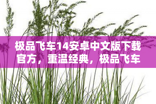 极品飞车14安卓中文版下载官方,重温经典,极品飞车14中文版下载官方体验 极品飞车14安卓中文版下载官方,重温经典,极品飞车14中文版下载官方体验