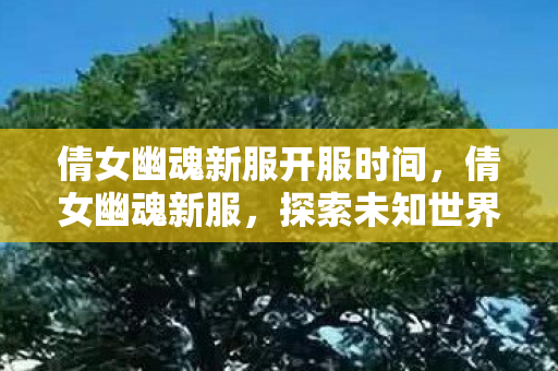 倩女幽魂新服开服时间，倩女幽魂新服，探索未知世界的奇妙旅程