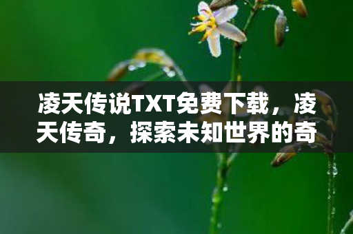 凌天传说TXT免费下载，凌天传奇，探索未知世界的奇幻之旅