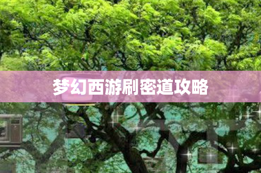 梦幻西游刷密道攻略