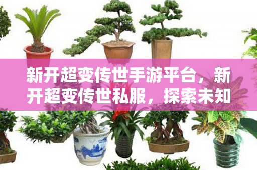新开超变传世手游平台,新开超变传世私服,探索未知世界的奇妙之旅 新开超变传世手游平台,新开超变传世私服,探索未知世界的奇妙之旅