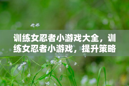 训练女忍者小游戏大全,训练女忍者小游戏,提升策略与技巧 训练女忍者小游戏大全,训练女忍者小游戏,提升策略与技巧