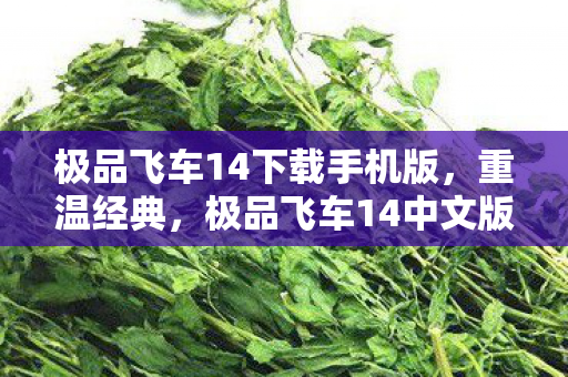 极品飞车14下载手机版,重温经典,极品飞车14中文版下载体验 极品飞车14下载手机版,重温经典,极品飞车14中文版下载体验