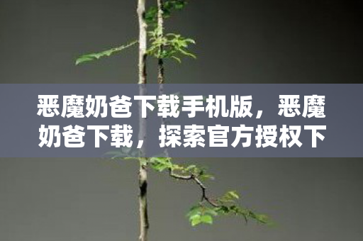 恶魔奶爸下载手机版，恶魔奶爸下载，探索官方授权下的游戏世界