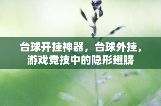 台球开挂神器,台球外挂,游戏竞技中的隐形翅膀 台球开挂神器,台球外挂,游戏竞技中的隐形翅膀