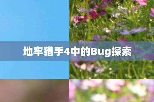 地牢猎手4中的Bug探索 地牢猎手4中的Bug探索