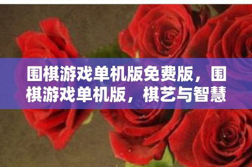 围棋游戏单机版免费版，围棋游戏单机版，棋艺与智慧的深度交融