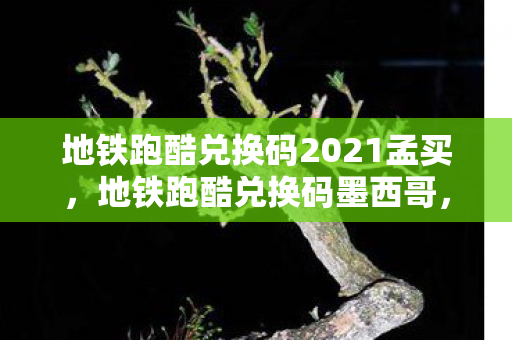 地铁跑酷兑换码2021孟买，地铁跑酷兑换码墨西哥，解锁无限可能的冒险之旅
